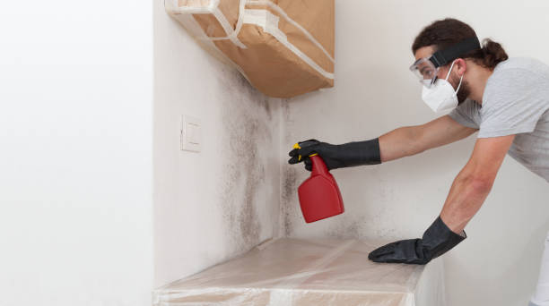 Professional Attic Mold Remediation technician working in Concord, VA