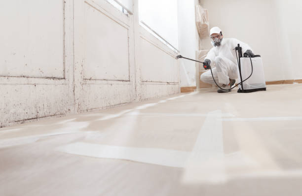 24/7 Emergency Attic Mold Remediation experts in Concord, VA