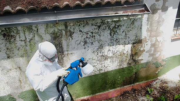 Top rated local Attic Mold Remediation specialists in Concord, VA